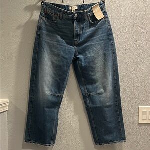 Madewell Darted Barrel-Leg Jeans in Irmo Wash